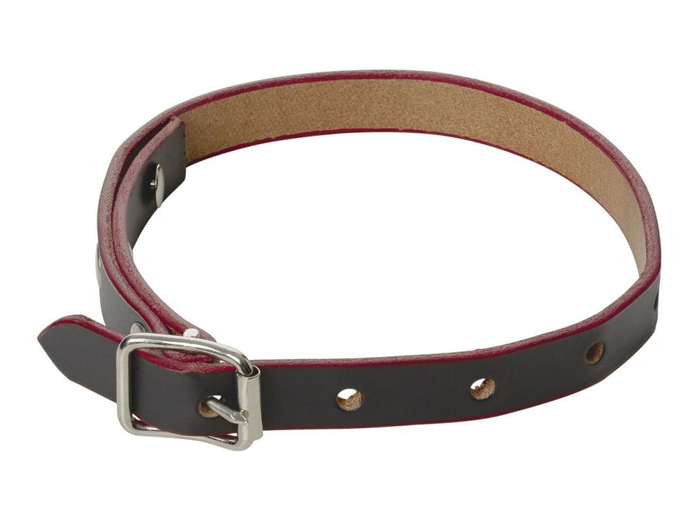 Collare per capre o pecore in cuoio - Caola