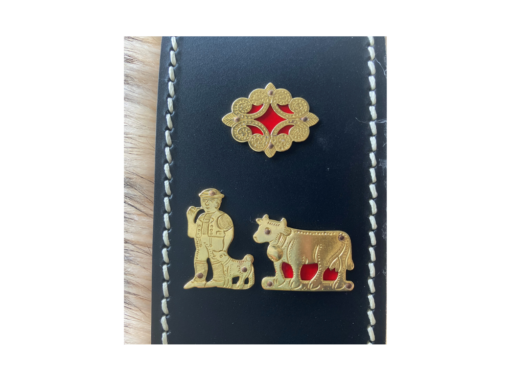 Dettaglio Campana con collare perlo di tasso e decorazioni dorate appenzellesi