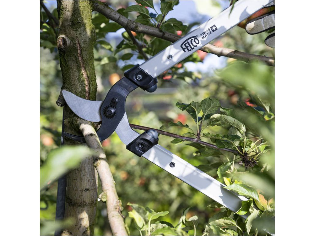 FELCO 221 – Troncarami professionale ad alte prestazioni - Caola