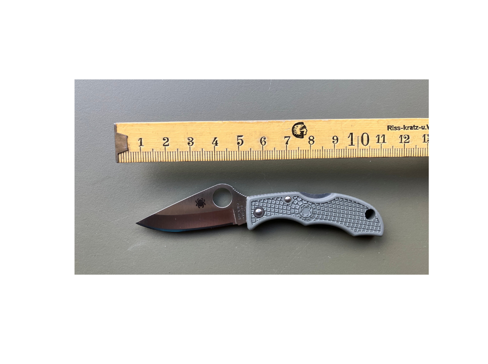 Spyderco Ladybug 3 Lightweight Blattgrün – Mini Coltello da Tasca VG-10 con Lock, 48mm, Leggero e Compatto con metro