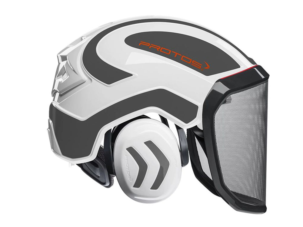 Casco sicurezza PROTOS PFANNER FOREST senza laccetto - Caola