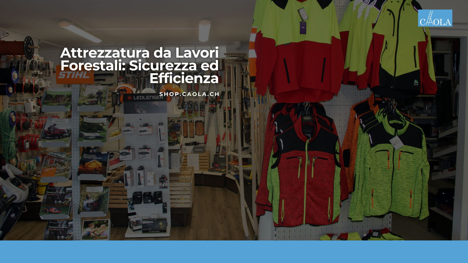 Attrezzatura da Lavori Forestali: Sicurezza ed Efficienza