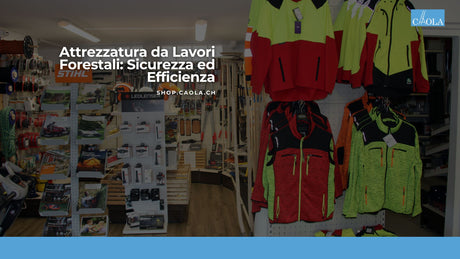 Attrezzatura da Lavori Forestali: Sicurezza ed Efficienza