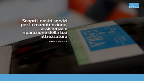 Manutenzione, assistenza e riparazione per attrezzatura ed attrezzi per la cura del verde e la manutenzione del verde in canton ticino - Giardinaggio e lavori forestali