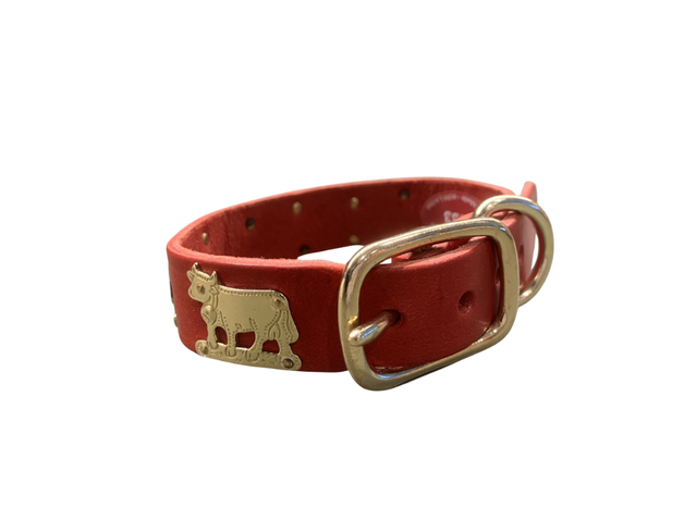 Collare in pelle rossa per cani di piccola taglia larghezza 2.1