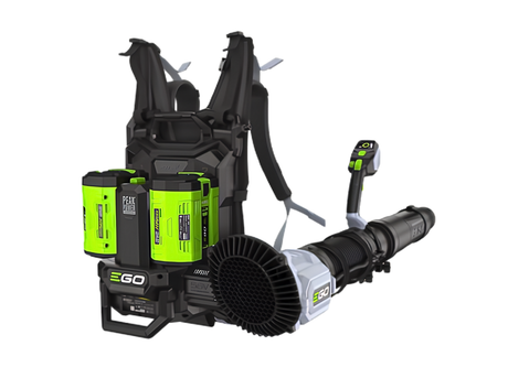 Caola