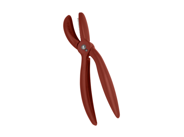 Marronischneider Metaltex rosso da 20 cm per incidere castagne, utensile da cucina in metallo.
