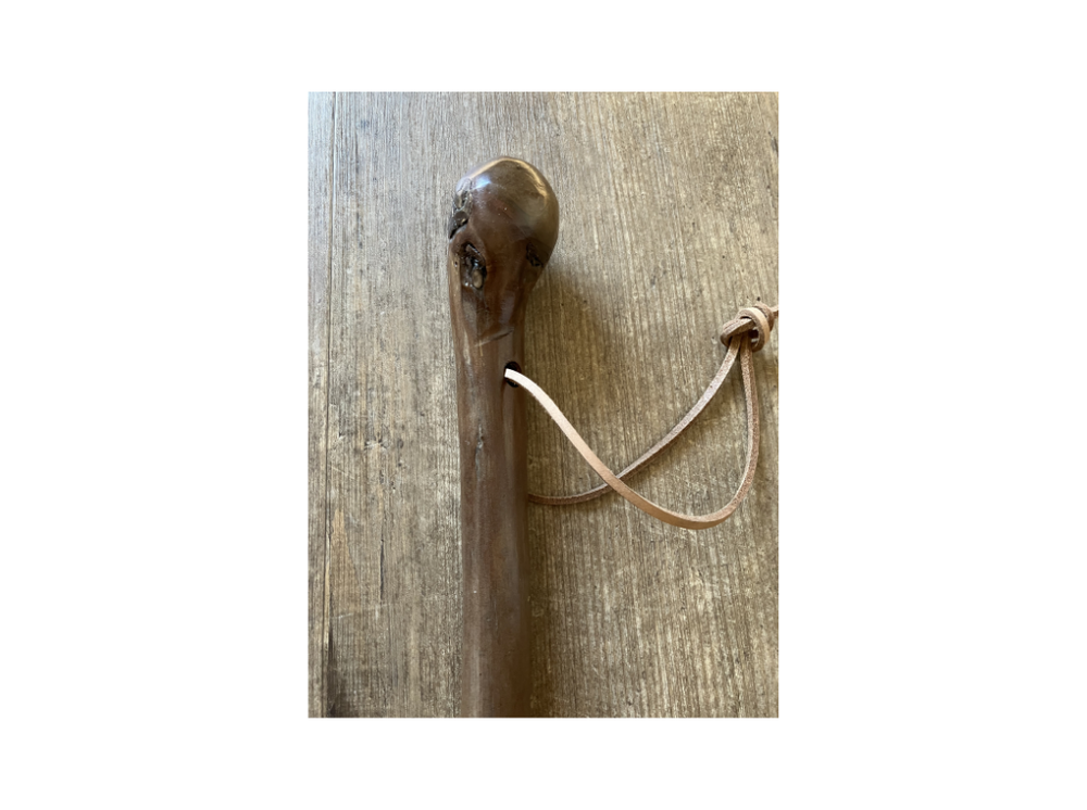 Bastone da passeggio