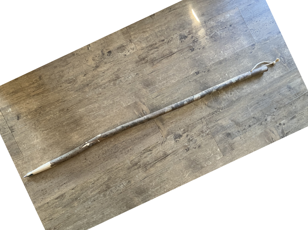 Bastone da passeggio