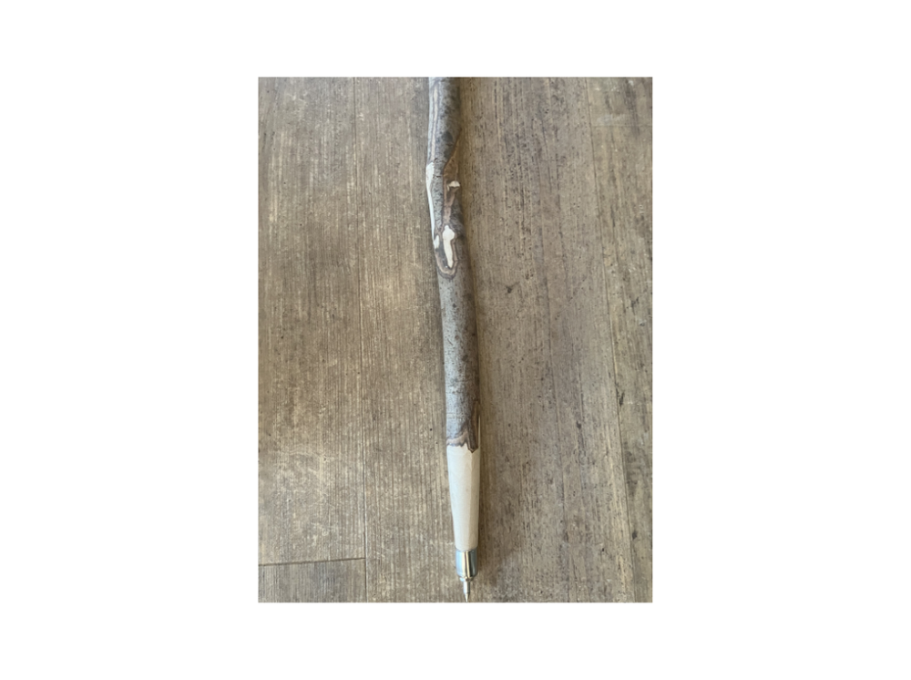 Bastone da passeggio