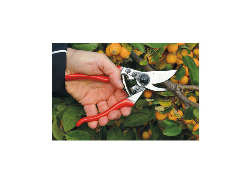 Cesoia per mancini FELCO 9 - Caola