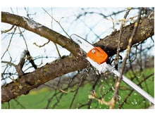 Potatore sramatore  STIHL HT 56 C-E