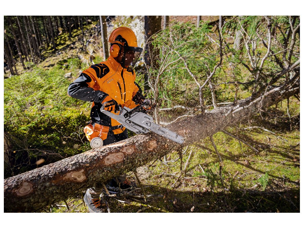 Tronçonneuse STIHL MS 241 CM