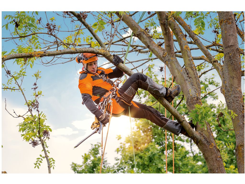 Pantalon d'escalade STIHL X-CLIMB